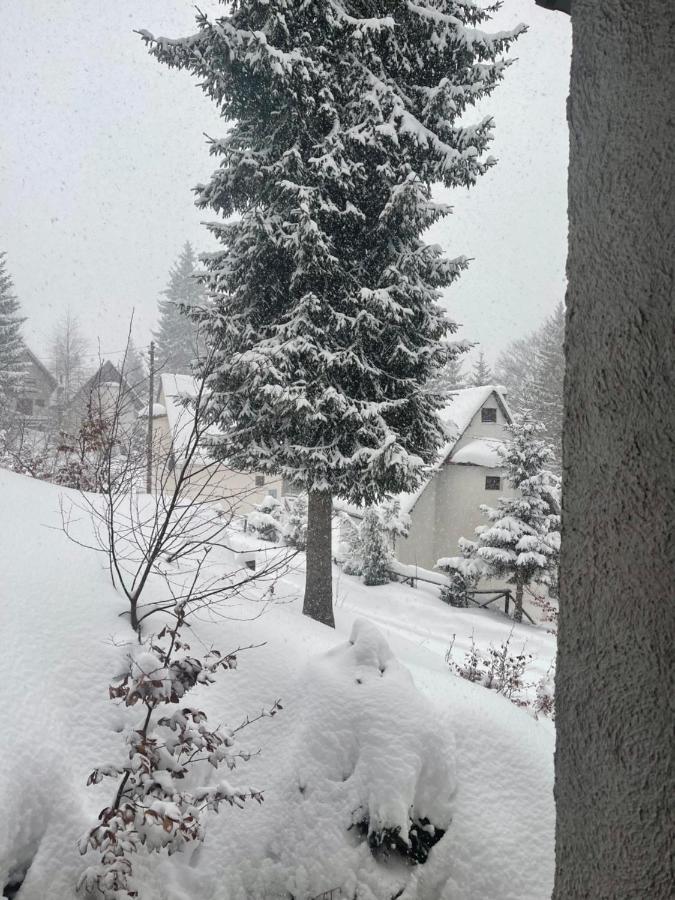 Vila Leni Kopaonik Extérieur photo